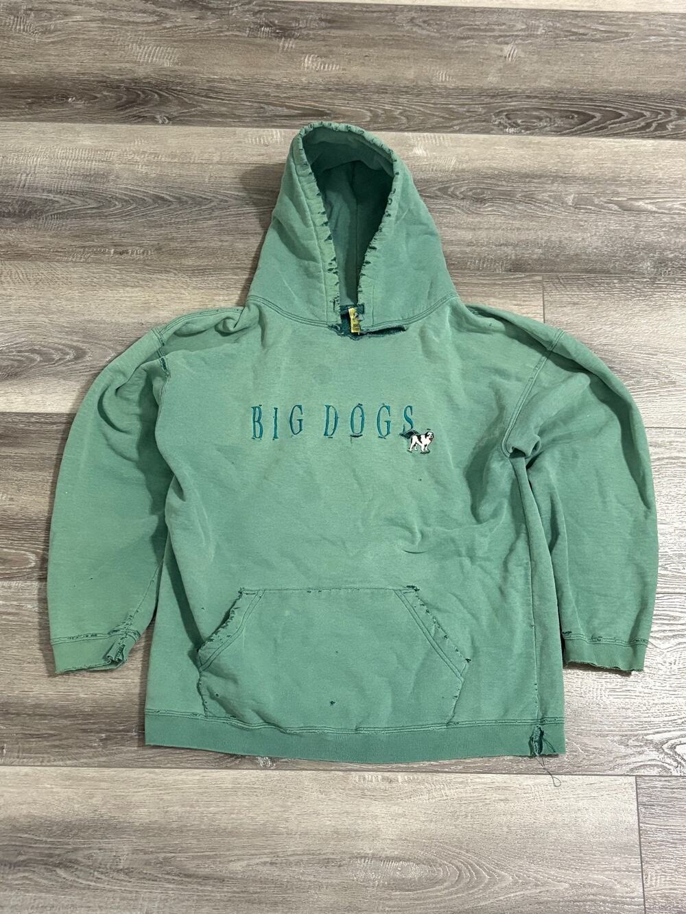 Vintage Big Dogs Spellout Distressed Thrashed Green Hoodie Y2K - Men’s Medium